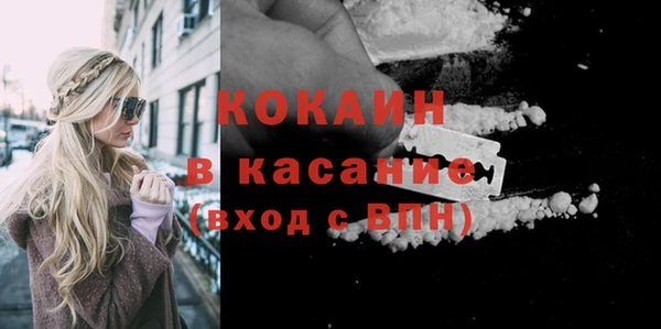 сатива Корсаков