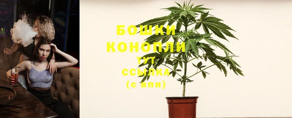 сатива Корсаков