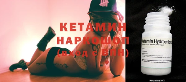 сатива Корсаков