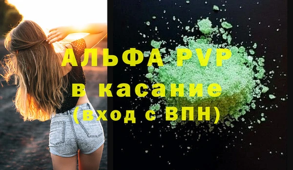 сатива Корсаков