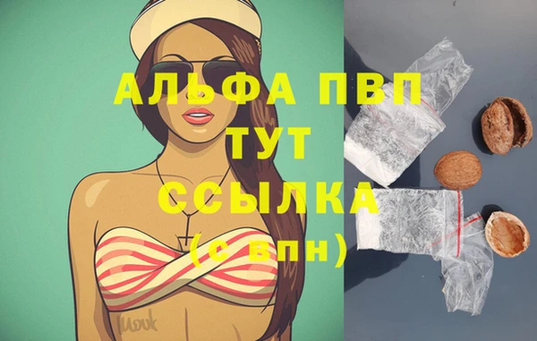 хмурый Коряжма