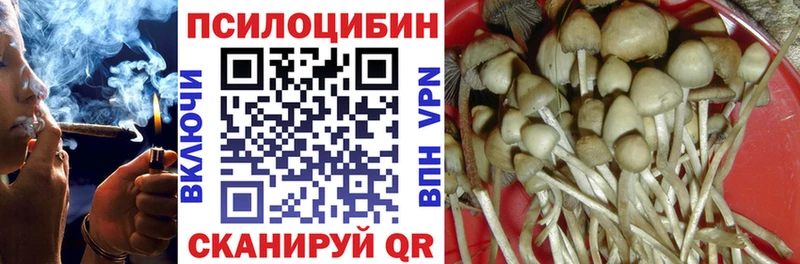 Купить закладки  Олёкминск  Галлюциногенные грибы Psilocybine cubensis 